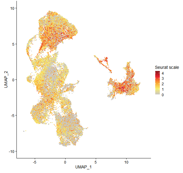 Feature plot of Mp3g10660 on UMAP