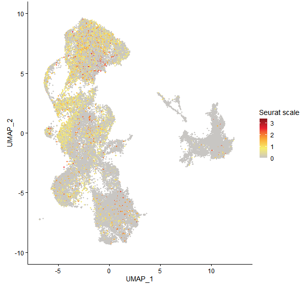 Feature plot of Mp3g11110 on UMAP