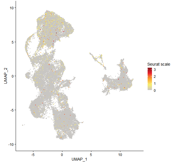 Feature plot of Mp3g11500 on UMAP
