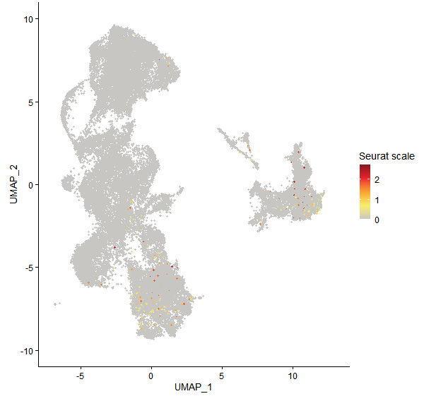 Feature plot of Mp3g11570 on UMAP