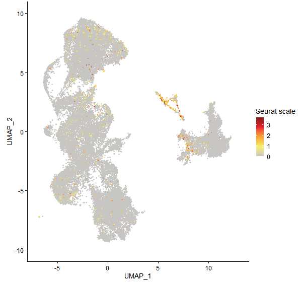 Feature plot of Mp3g13340 on UMAP