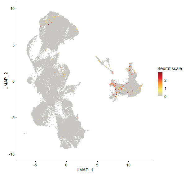 Feature plot of Mp3g13740 on UMAP