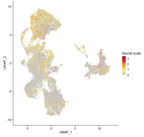 Feature plot of Mp3g14430 on UMAP