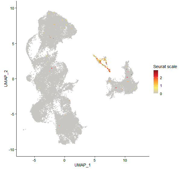 Feature plot of Mp3g14550 on UMAP