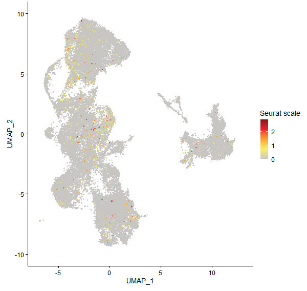 Feature plot of Mp3g14950 on UMAP