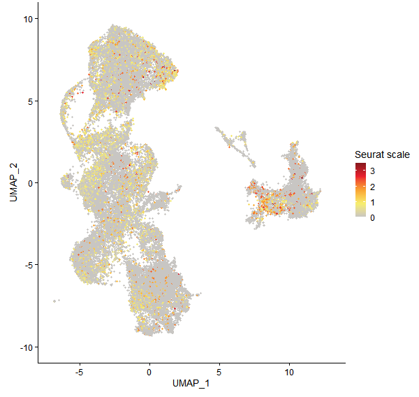 Feature plot of Mp3g15720 on UMAP