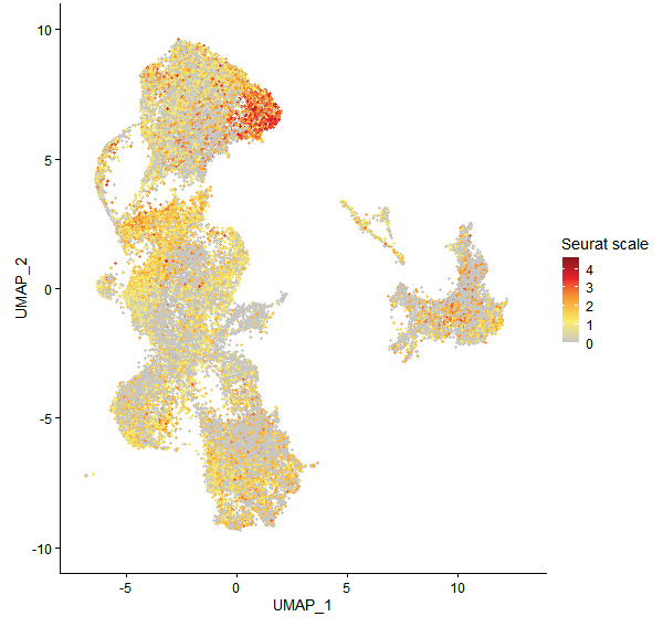 Feature plot of Mp3g16100 on UMAP