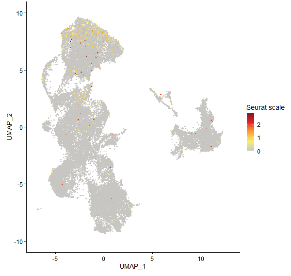 Feature plot of Mp3g16920 on UMAP