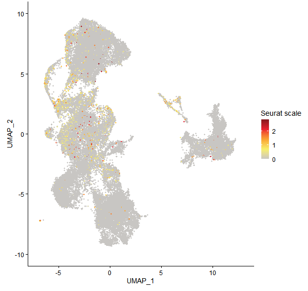 Feature plot of Mp3g19700 on UMAP
