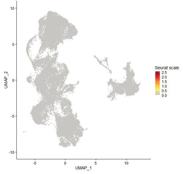 Feature plot of Mp3g19930 on UMAP