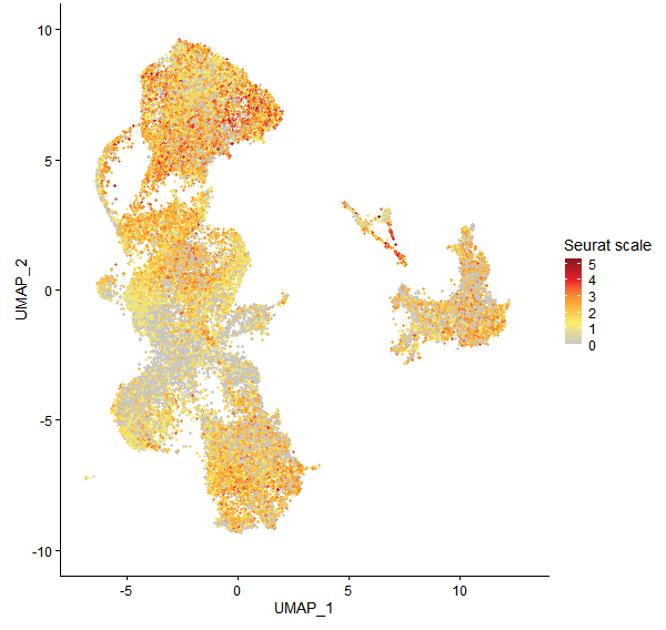 Feature plot of Mp3g22950 on UMAP
