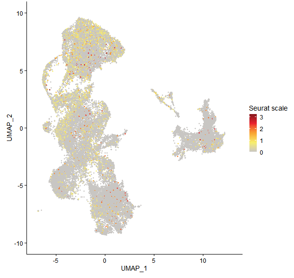 Feature plot of Mp3g23090 on UMAP