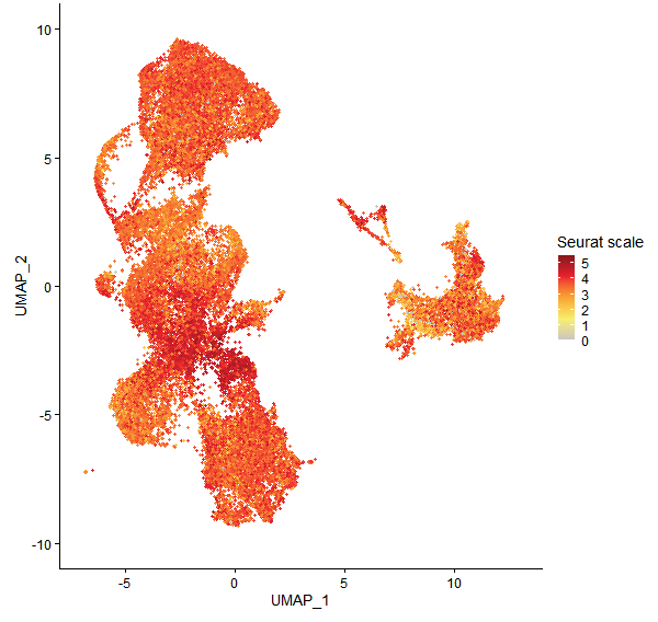 Feature plot of Mp3g23400 on UMAP