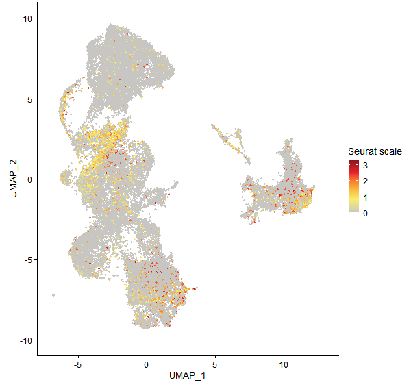 Feature plot of Mp3g23740 on UMAP