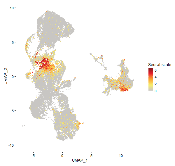 Feature plot of Mp3g24140 on UMAP