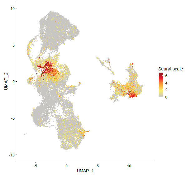 Feature plot of Mp3g24150 on UMAP