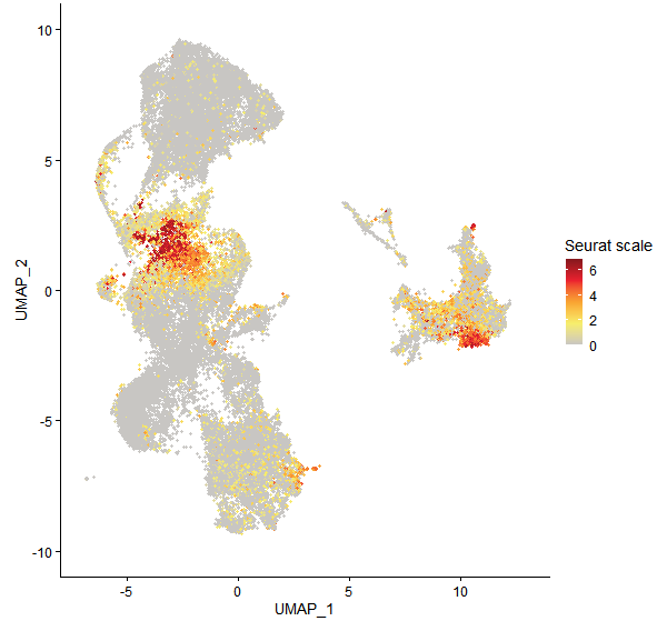 Feature plot of Mp3g24160 on UMAP