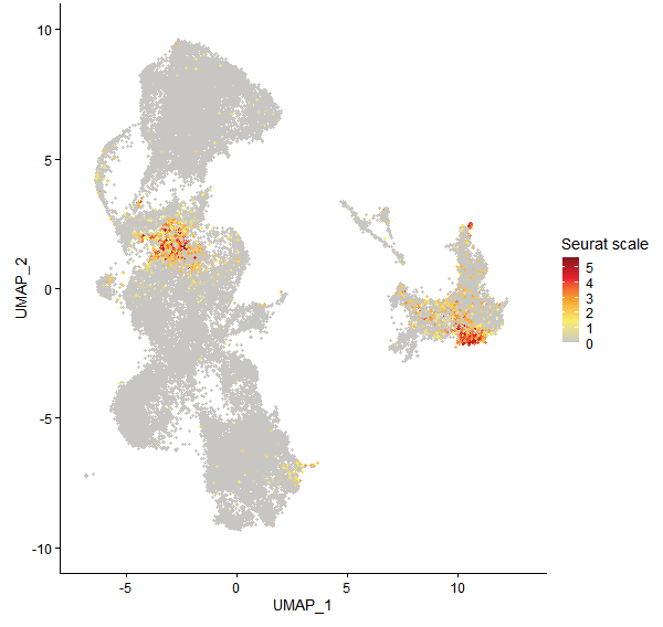 Feature plot of Mp3g24170 on UMAP