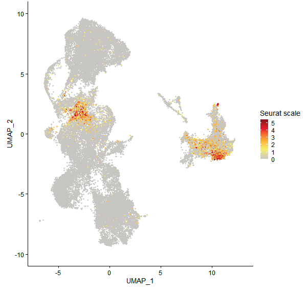 Feature plot of Mp3g24210 on UMAP