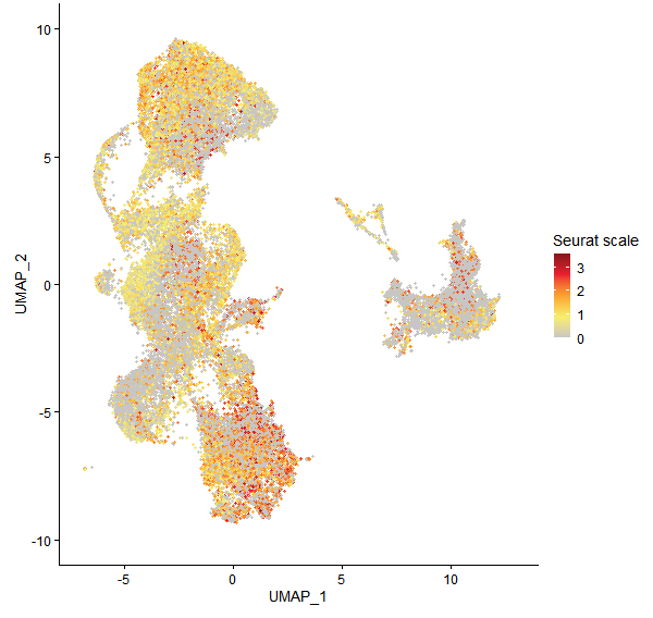 Feature plot of Mp3g25140 on UMAP