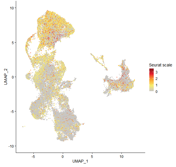 Feature plot of Mp3g25360 on UMAP