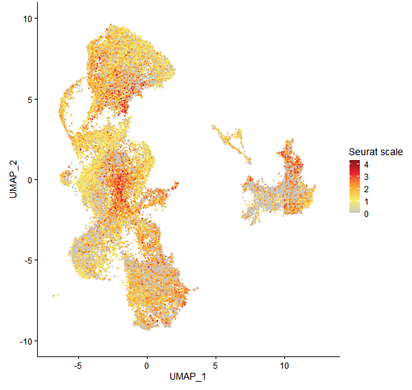 Feature plot of Mp4g00550 on UMAP