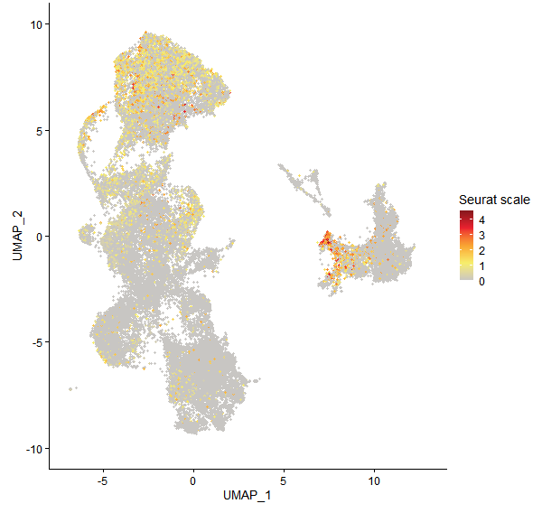 Feature plot of Mp4g01290 on UMAP