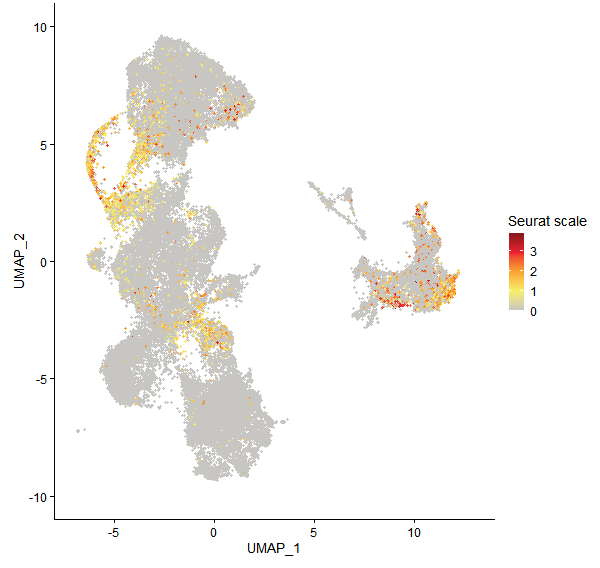 Feature plot of Mp4g01480 on UMAP