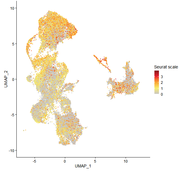 Feature plot of Mp4g02140 on UMAP