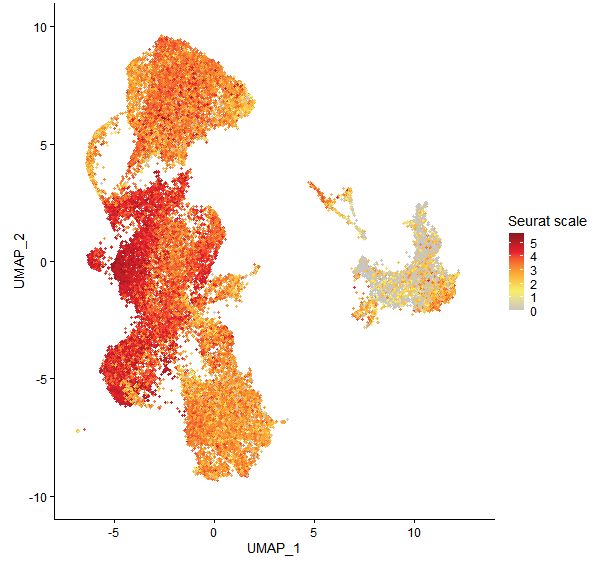 Feature plot of Mp4g02720 on UMAP
