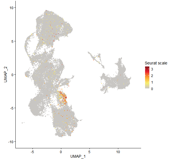 Feature plot of Mp4g03080 on UMAP