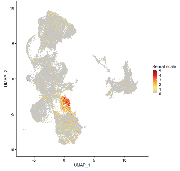 Feature plot of Mp4g03090 on UMAP