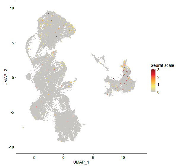 Feature plot of Mp4g03950 on UMAP