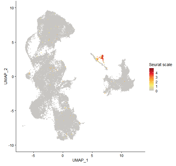 Feature plot of Mp4g05010 on UMAP