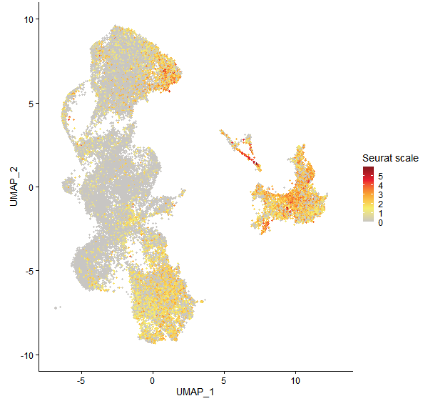 Feature plot of Mp4g05750 on UMAP
