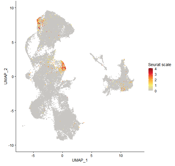 Feature plot of Mp4g05810 on UMAP