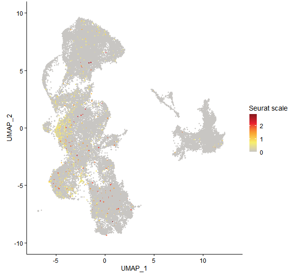 Feature plot of Mp4g06020 on UMAP