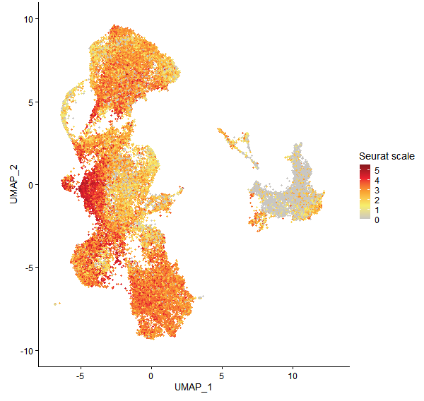 Feature plot of Mp4g06030 on UMAP