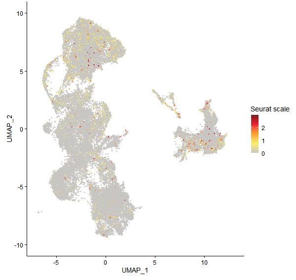 Feature plot of Mp4g06440 on UMAP