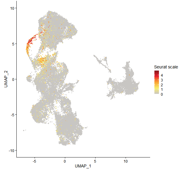 Feature plot of Mp4g06560 on UMAP