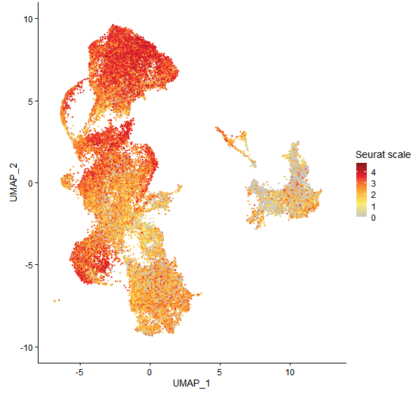 Feature plot of Mp4g06600 on UMAP