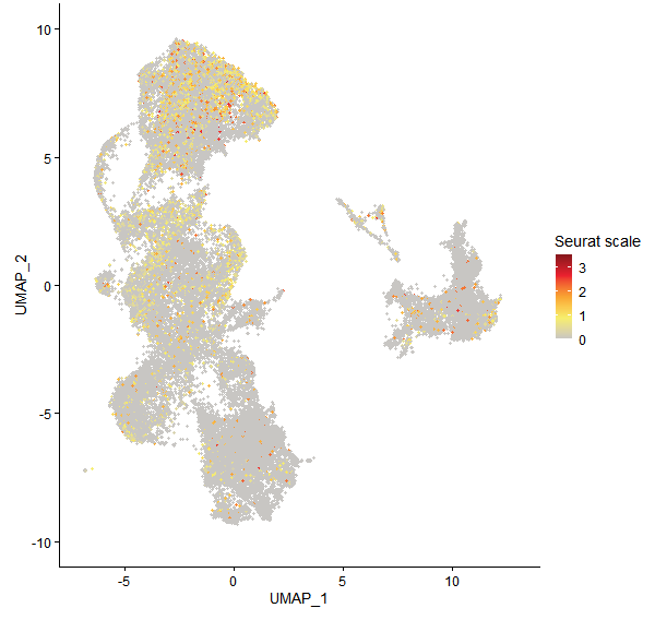 Feature plot of Mp4g08320 on UMAP