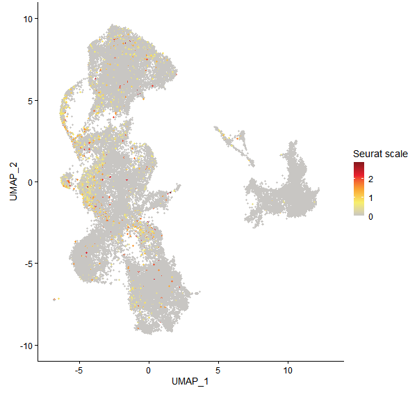 Feature plot of Mp4g08700 on UMAP