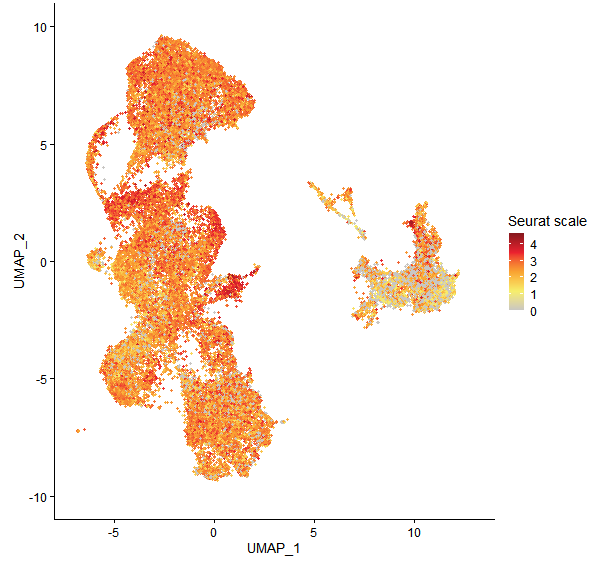 Feature plot of Mp4g08890 on UMAP