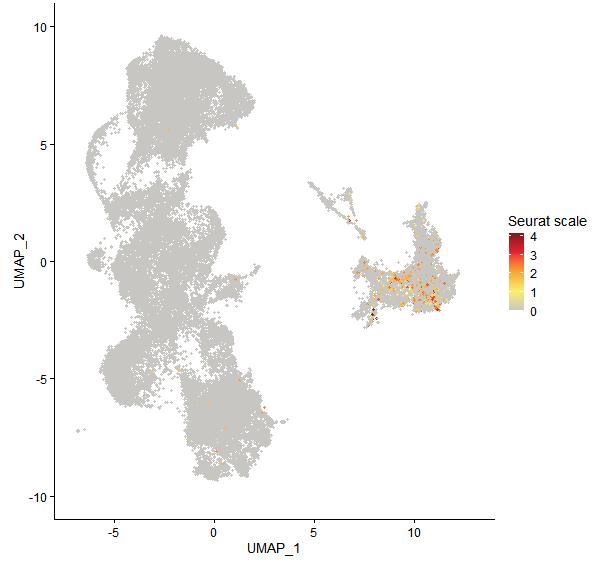 Feature plot of Mp4g09510 on UMAP