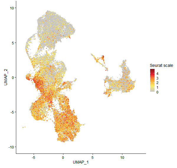 Feature plot of Mp4g09890 on UMAP