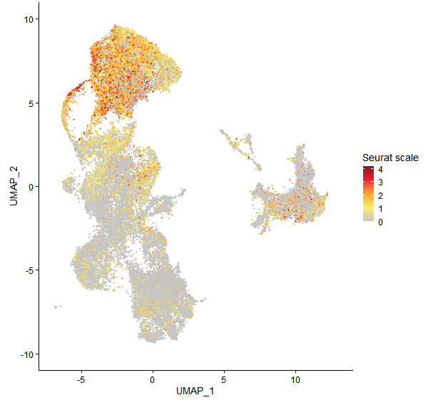 Feature plot of Mp4g10060 on UMAP
