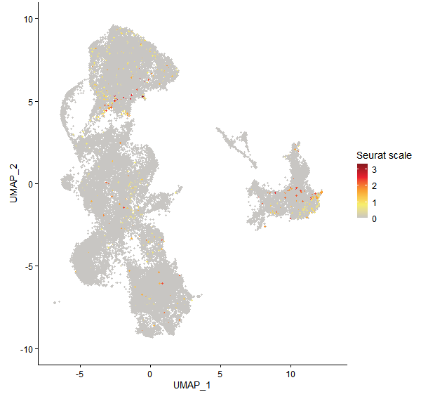 Feature plot of Mp4g10800 on UMAP