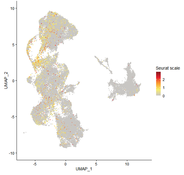 Feature plot of Mp4g11030 on UMAP