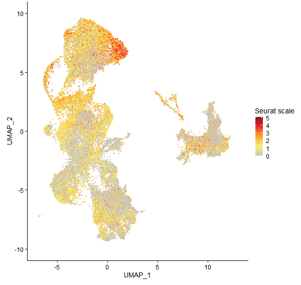 Feature plot of Mp4g11910 on UMAP